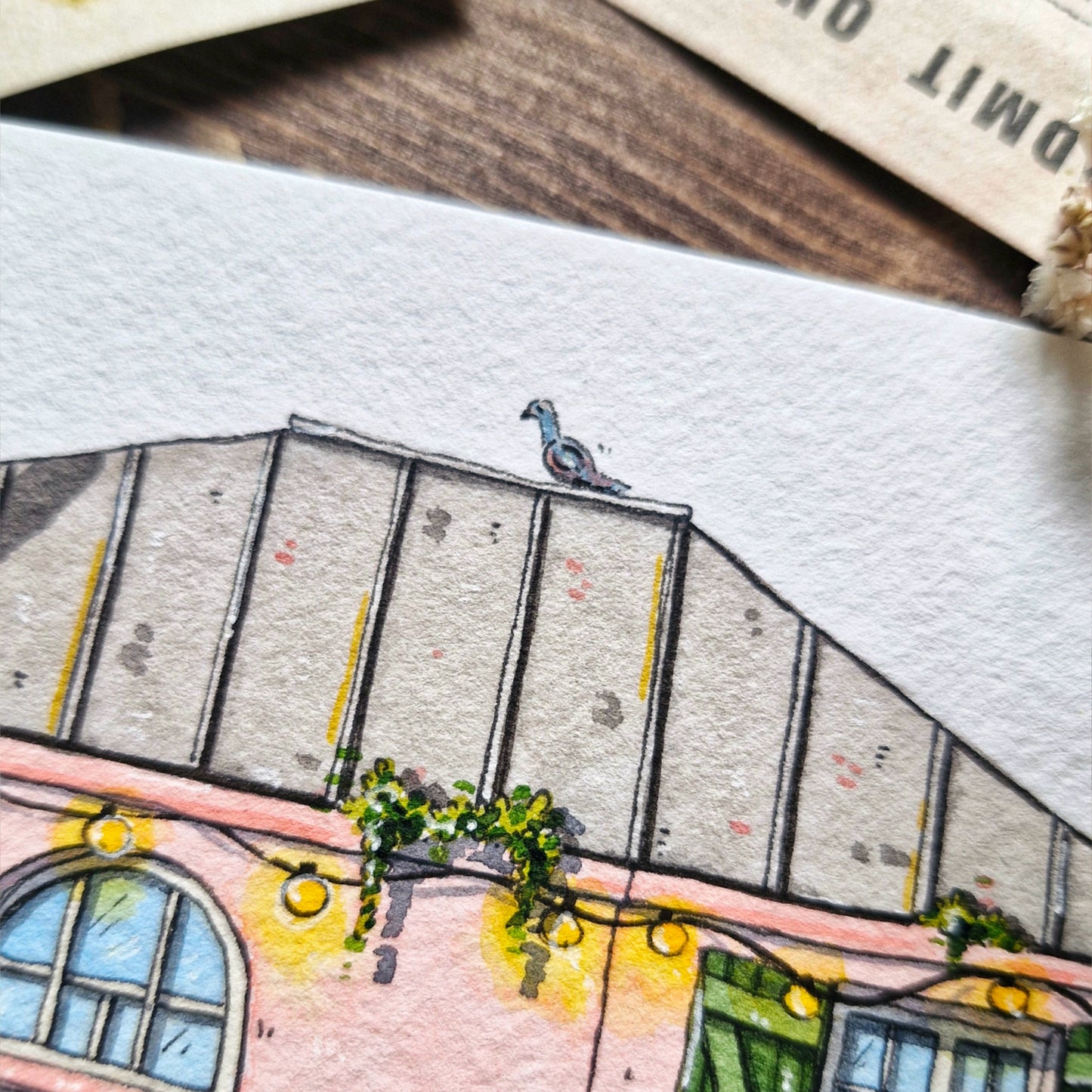watercolor painting of La Maison Rose with PAris detail pigeon on the roof