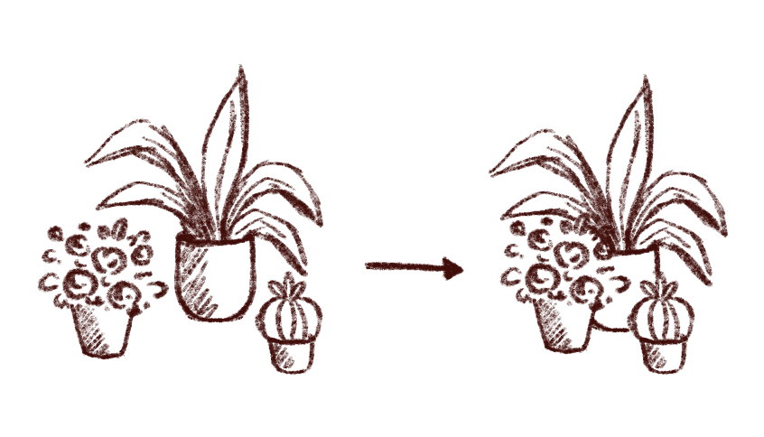 Illustration of potted plants with decorative elements on a white background